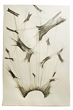 S.T. Grafito y costura sobre papel. 180x120cm.