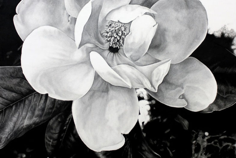 Magnolia (2023). Carbonilla sobre papel maruflado, 140 x 100 cm