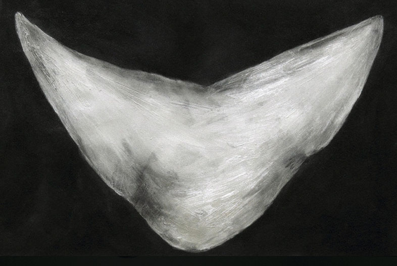 [s/t] (2013). Grafito y carbón sobre papel