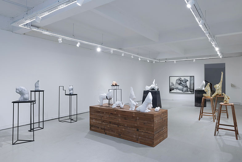 Salto al potro. Exhibition view.