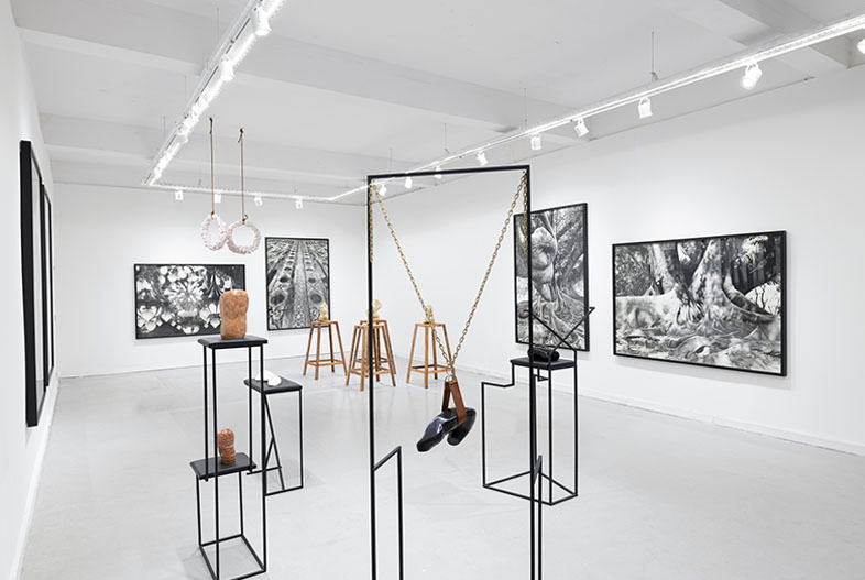Salto al potro. Exhibition view.