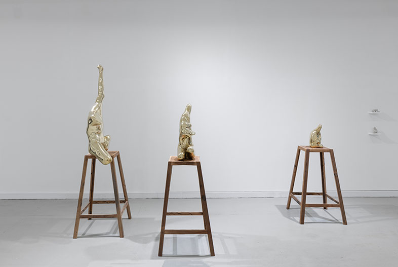 Salto al potro. Exhibition view.